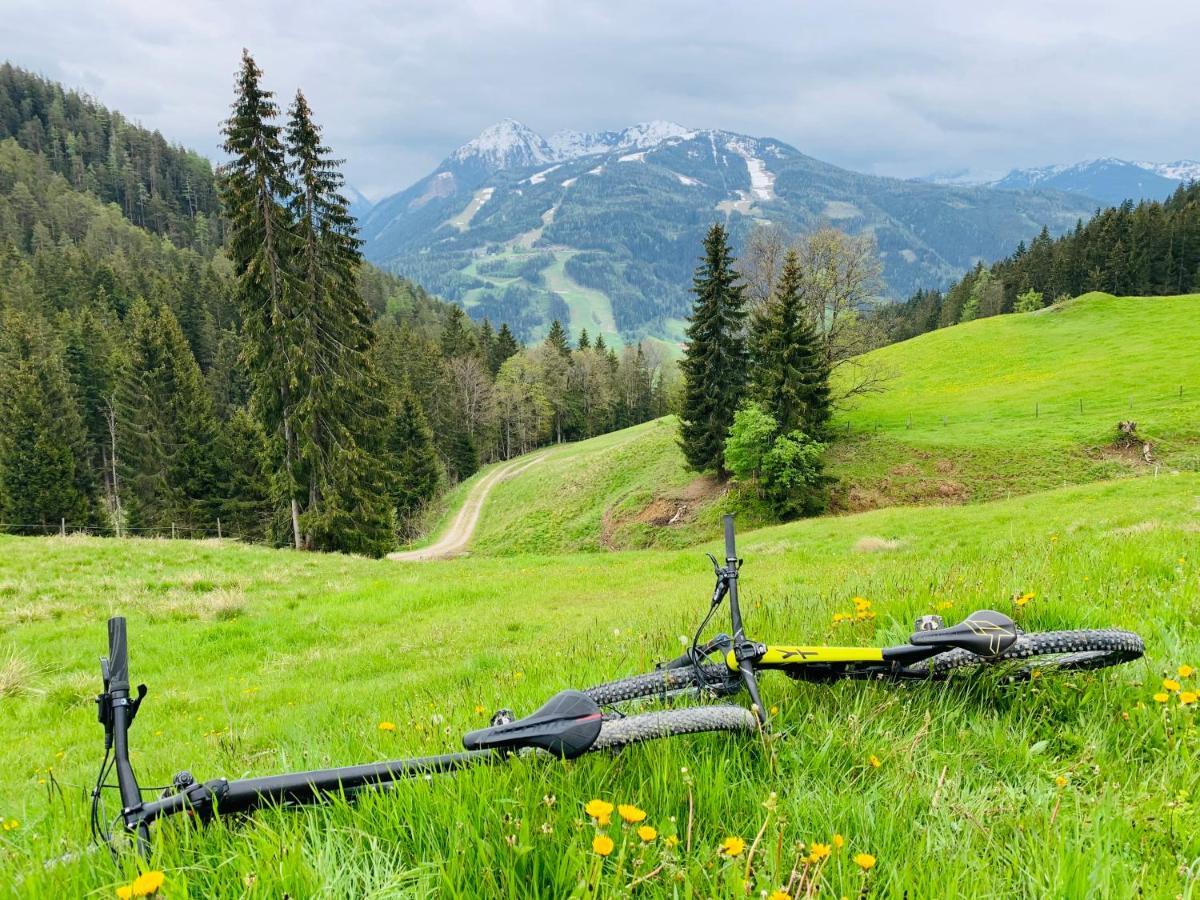 Bergkristallhaus Ramsau am Dachstein Luaran gambar