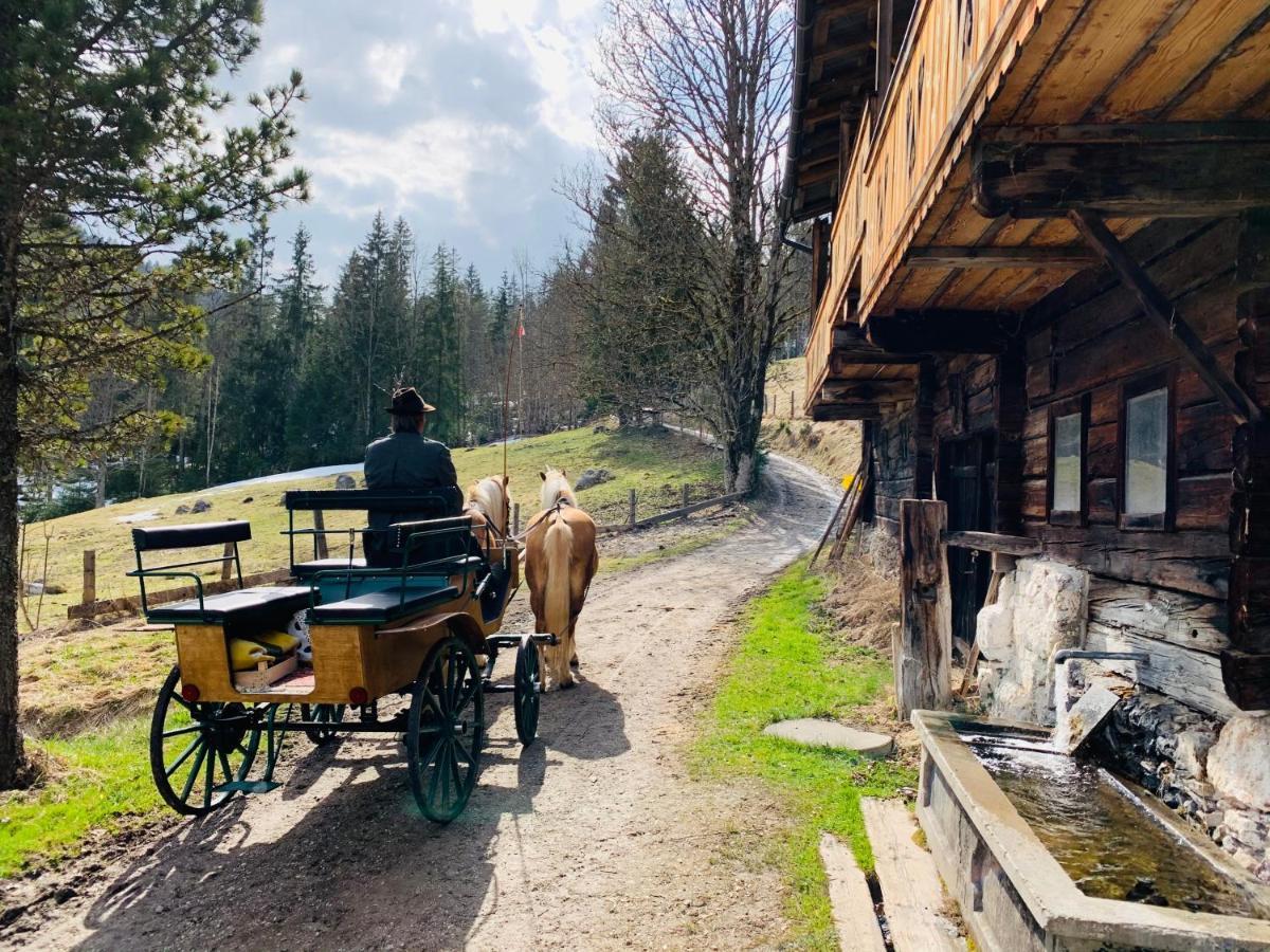 Bergkristallhaus Ramsau am Dachstein Luaran gambar